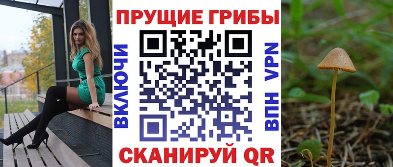 даркнет сайт  MEGA сайт  Псилоцибиновые грибы ЛСД  Красновишерск 